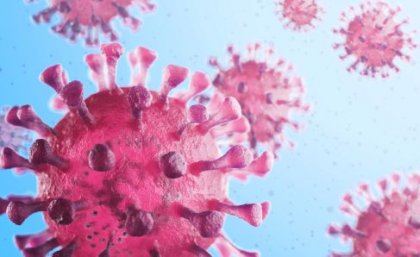 Image: Adobe. An illustration of red virus cells against a light blue background.
